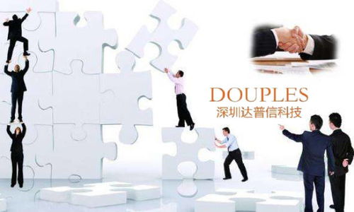 深圳達(dá)普信 探究其在網(wǎng)絡(luò)技術(shù)服務(wù)領(lǐng)域的實(shí)力與定位